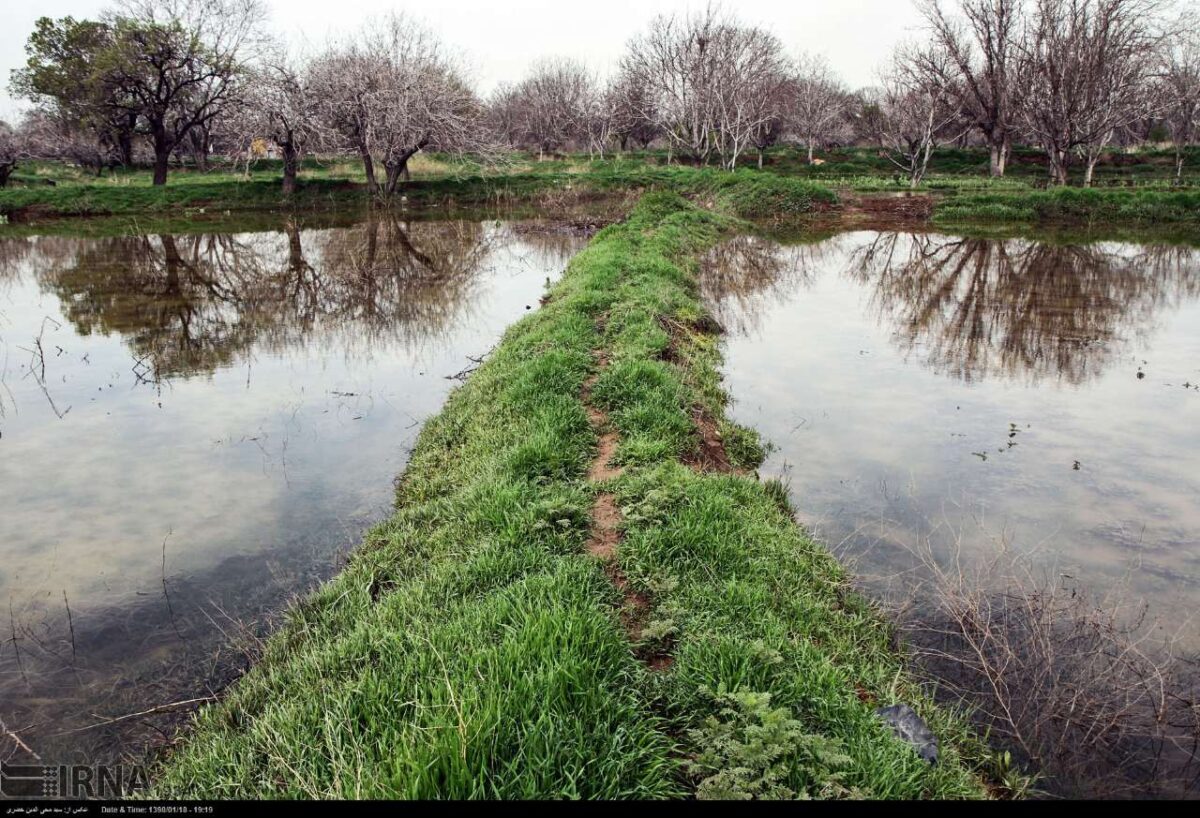 Qazvin Gardens Play Significant Role in Containing Flood