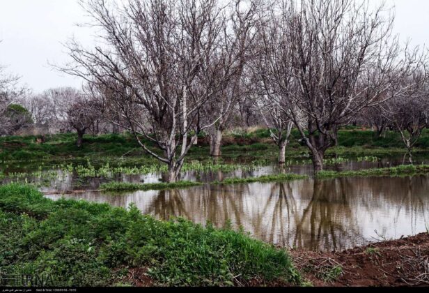 Qazvin Gardens Play Significant Role in Containing Flood