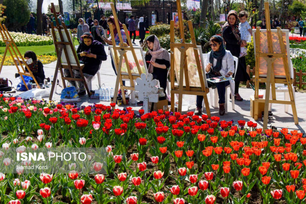 Tulips Festival Underway in Iran’s Alborz Province