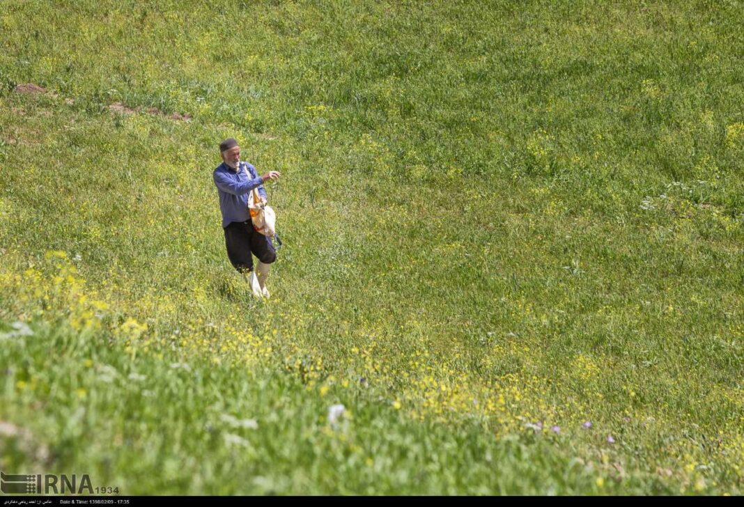 Iran’s Beauties In Photos: Spring In Western Areas - Iran Front Page