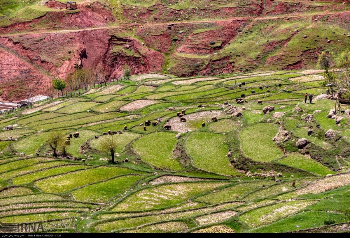 Iran’s Beauties in Photos: Spring in Western Areas