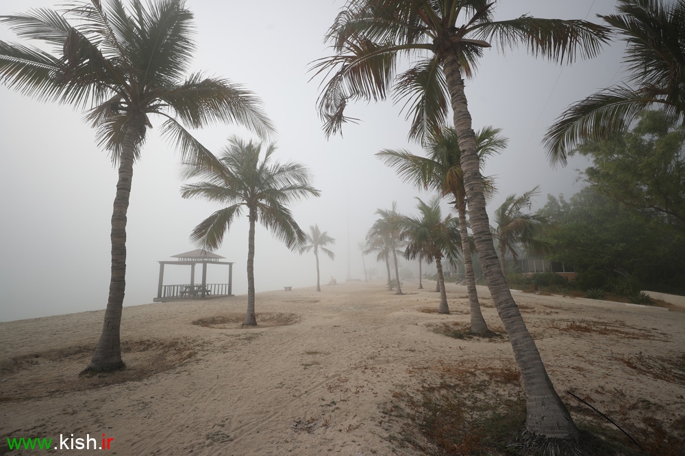 Iran’s Beauties in Photos: Morning Fog on Kish Island