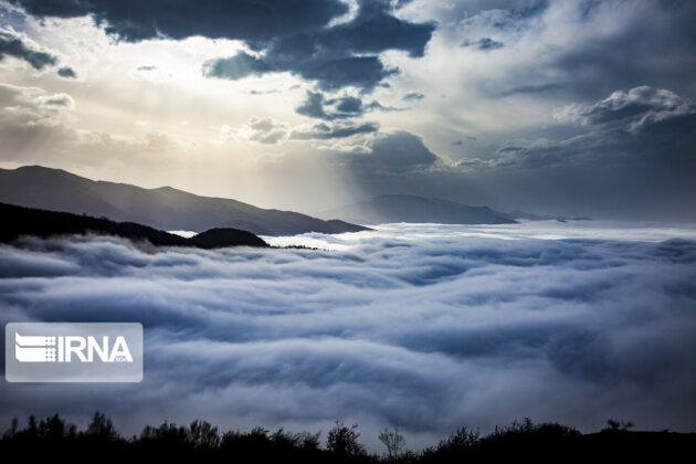 Iran’s Hyrcanian Forests Registered as World Heritage