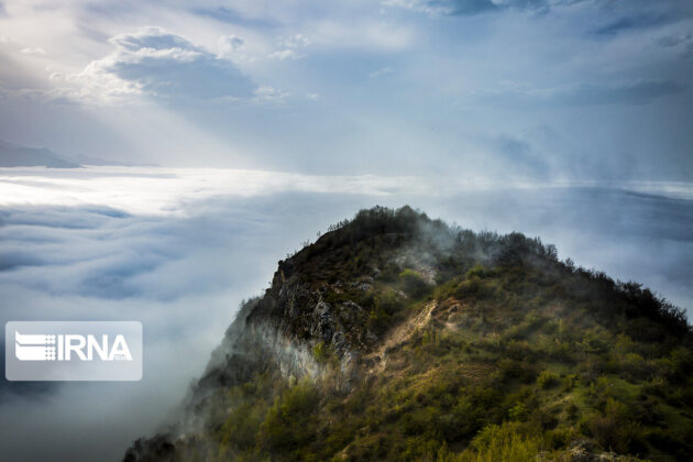 Iran’s Hyrcanian Forests Registered as World Heritage
