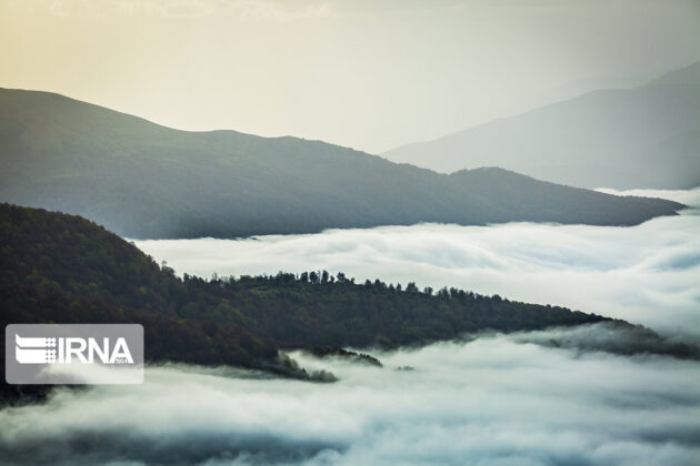 Iran’s Hyrcanian Forests Registered as World Heritage