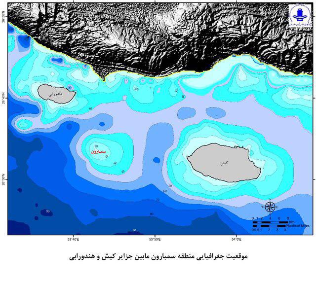 Two Types of Rare Coral Spotted in Persian Gulf South of Iran