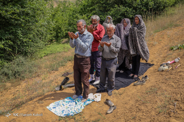 Iran’s Beauties in Photos: Traditional Wheat Harvest
