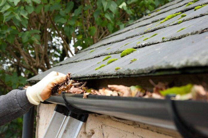 Services to Hire for Gutter Cleaning