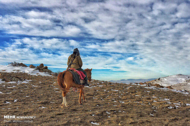 Ranger Portrays Pristine Nature of Golestan National Park