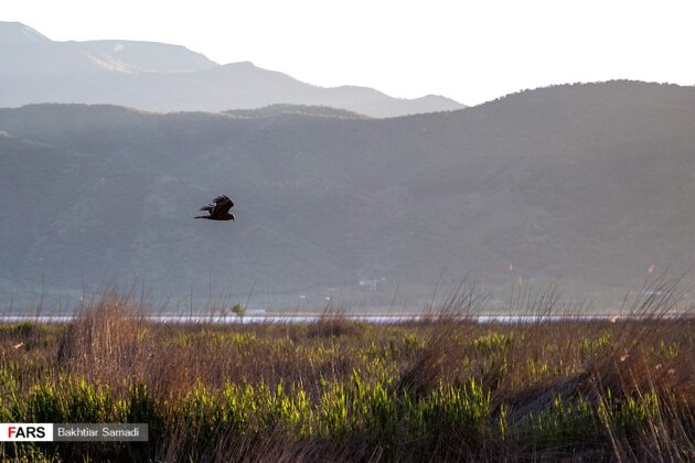 Iran’s Beauties in Photos: Zrebar Lake