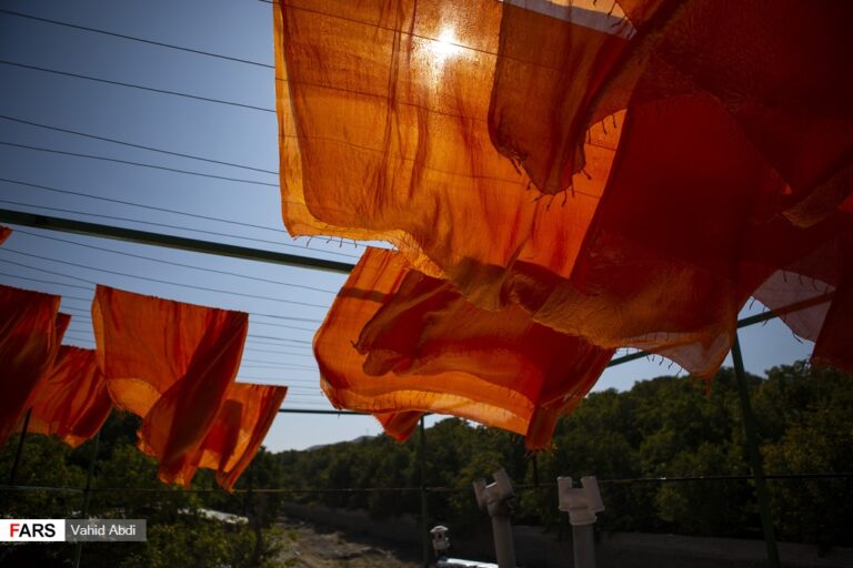 World’s Most Expensive Scarf Is Made Of Silk And Tar Iran Front Page