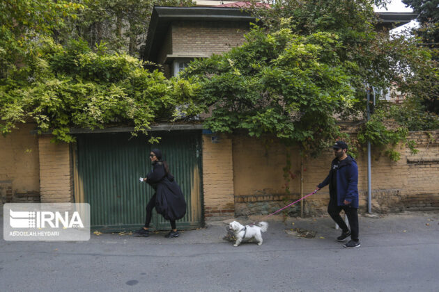Tehran’s District One: Combination of Tradition, Modernity