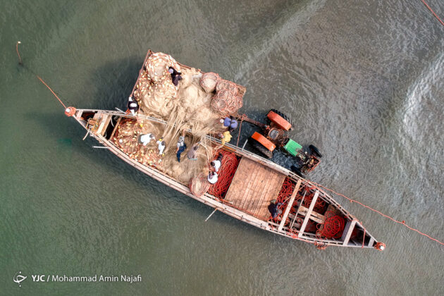 Caspian Sea Generous Source of Income for Local Fishermen