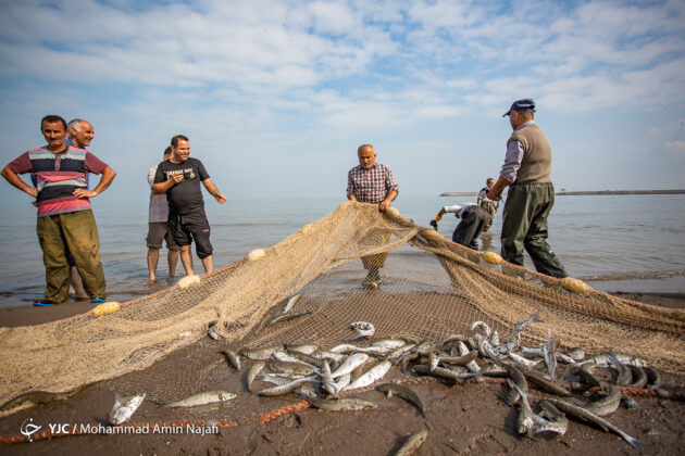 Caspian Sea Generous Source of Income for Local Fishermen