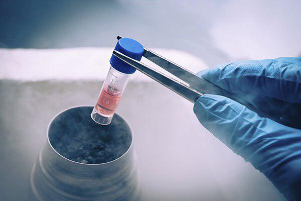 Researchers Cure Skin Conditions with Patient’s Own Stem Cells