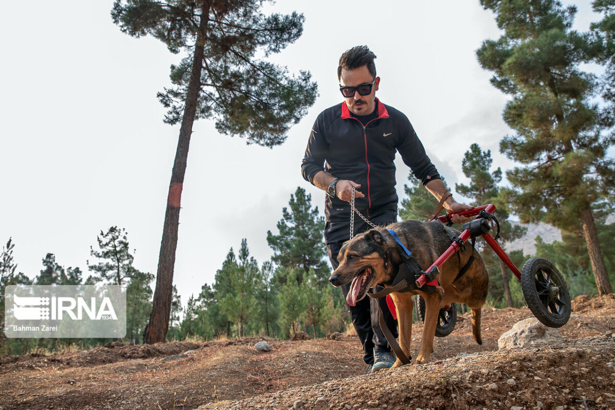 Young Man Dedicates Himself to Taking Care of Handicapped Dog (18)