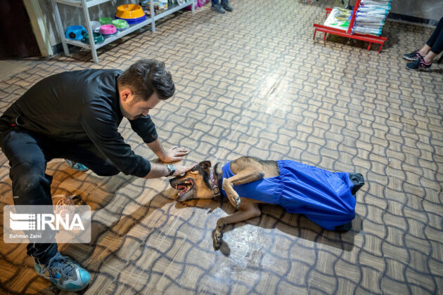 Young Man Dedicates Himself to Taking Care of Handicapped Dog