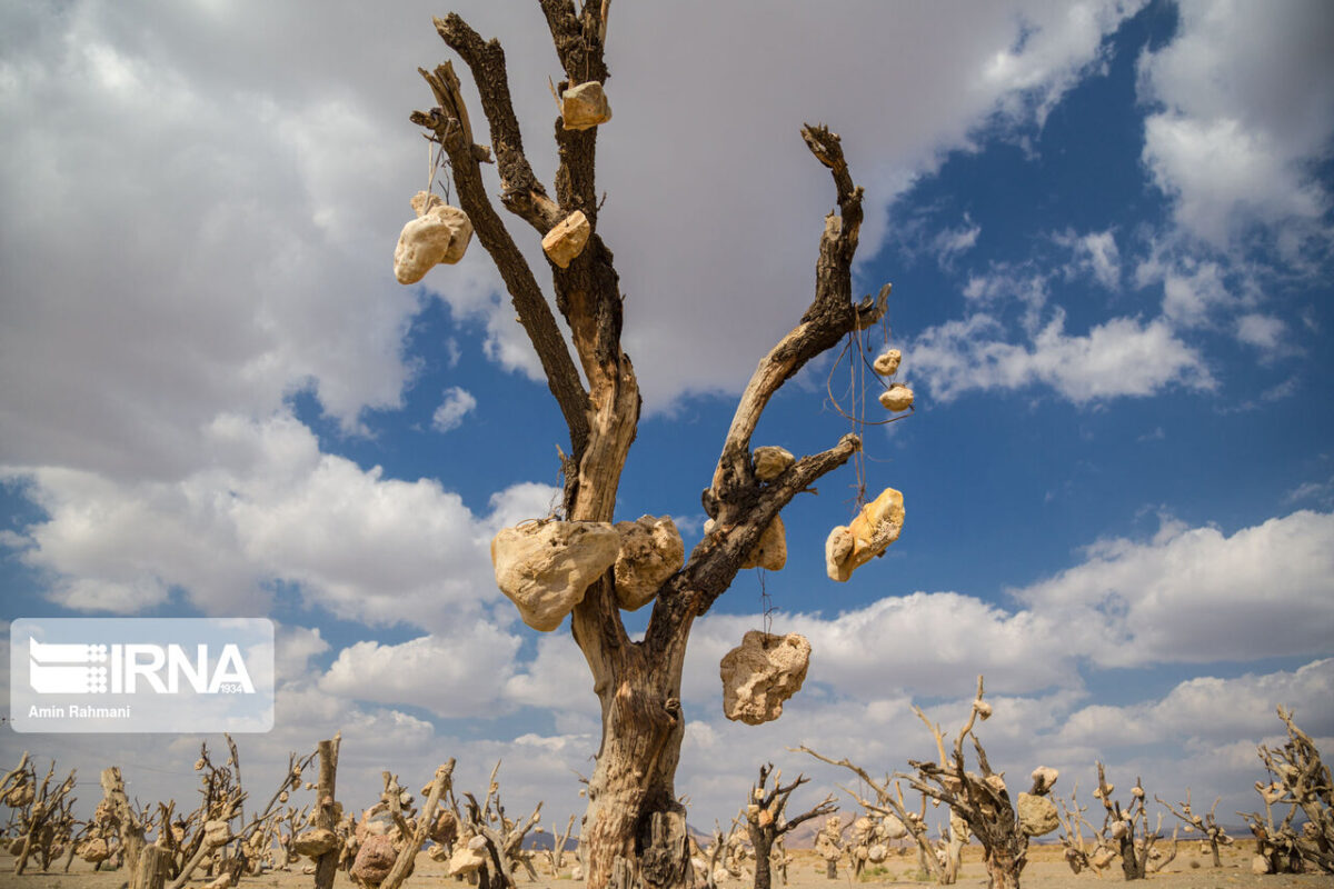Iran’s Beauties in Photos Stone Garden of Kerman (2)