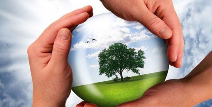 Iran Among Asia’s Top 5 Biotechnology Powers