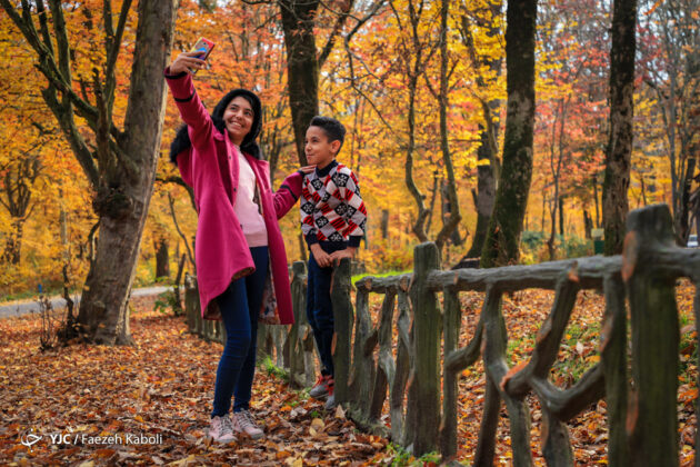 Iran’s Beauties in Photos: Autumn in Golestan Forest
