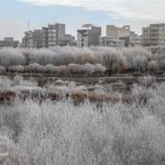 Saqqez in Western Iran Blanketed with Snow 1