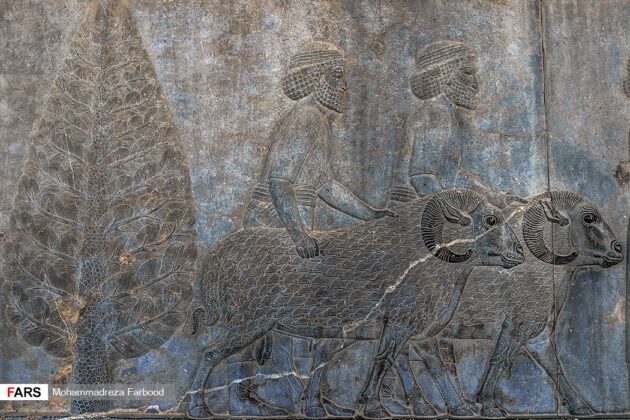 Reliefs of Persepolis 25