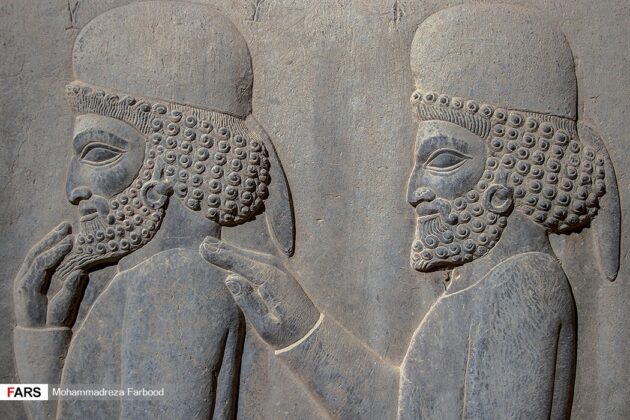 Reliefs of Persepolis 8