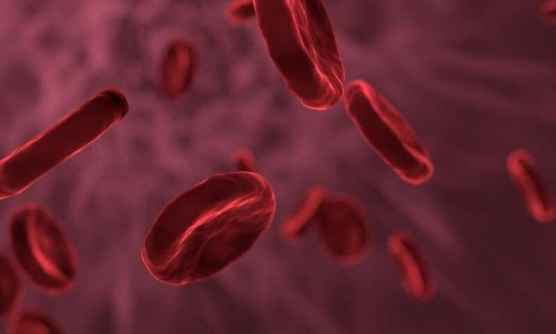 World’s 3rd Menstrual Blood Stem Cells Bank Opens in Iran