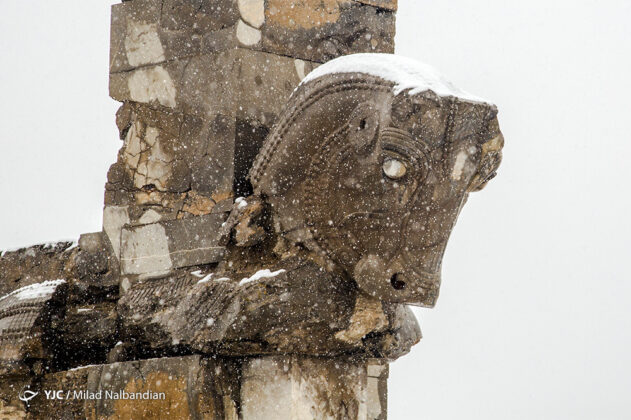 Snowy Persepolis