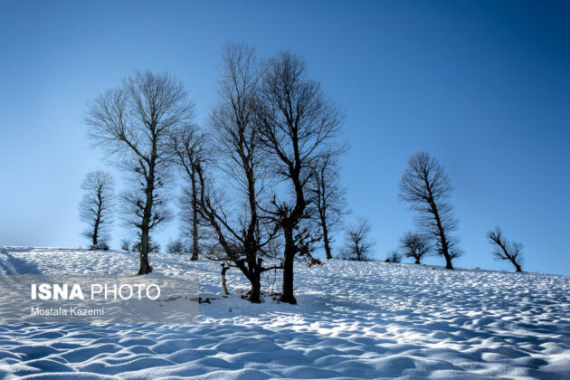 Mazandaran in Winter