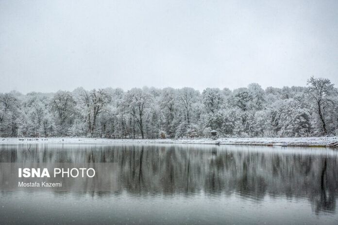 Iran’s Beauties in Winter: Chahardangeh of Mazandaran