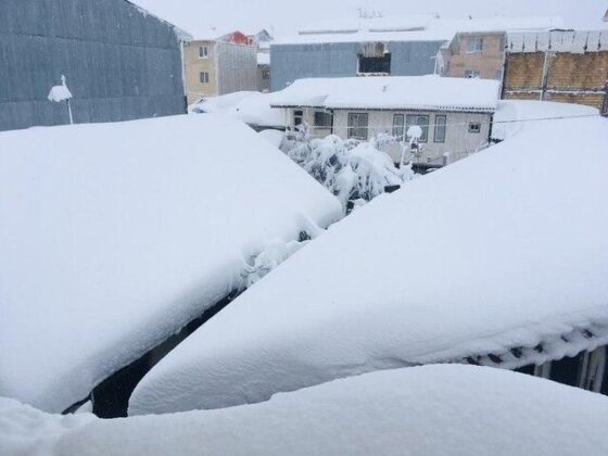 Heavy Snowfall, Avalanche Leave Casualties in Northern Iran