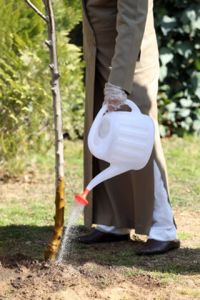 Iran’s Leader Plants Sapling on Arbour Day