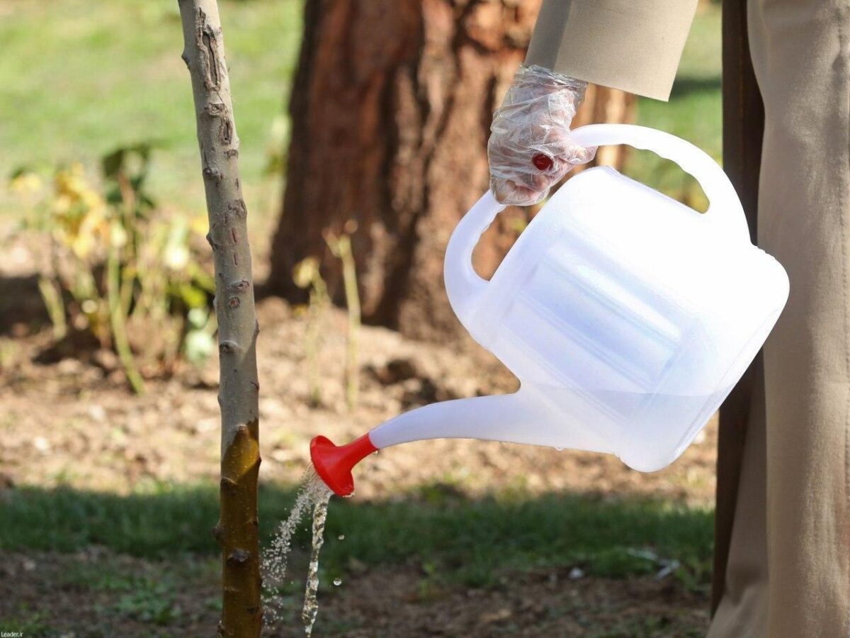 Iran’s Leader Plants Sapling on Arbour Day 21 Iran’s Leader Plants Sapling on Arbour Day