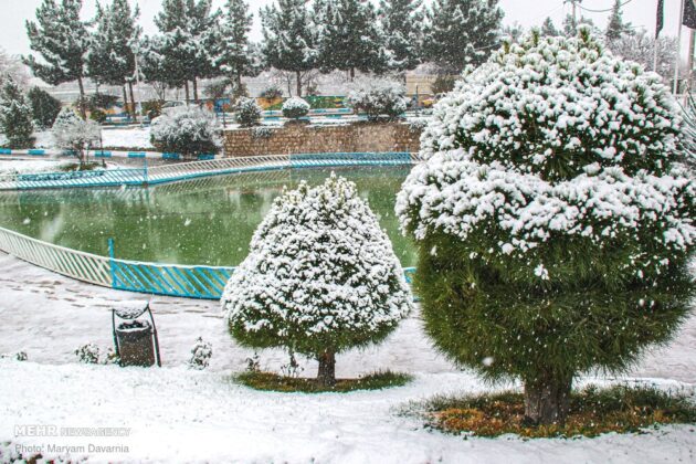Iran in Winter