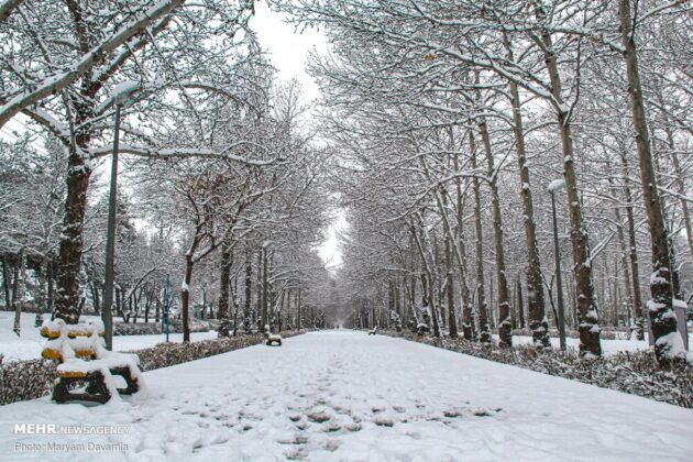 Iran in Winter
