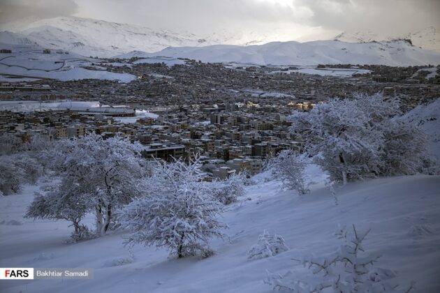 Snowy Days in Western Iran