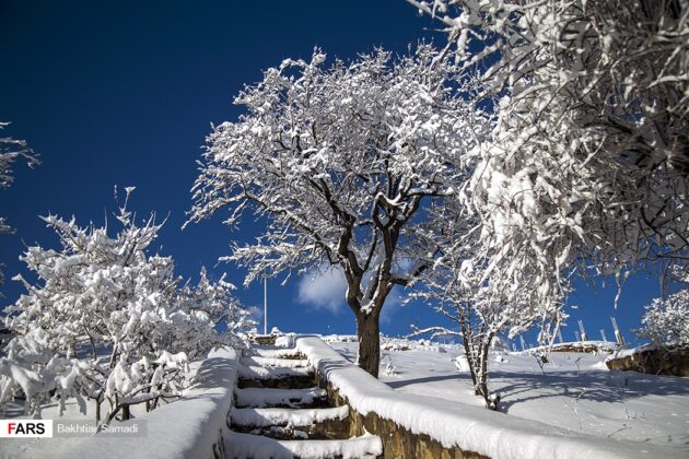 Nature of Sanandaj, Iran, in Winter
