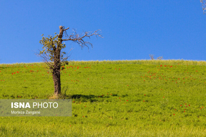 Dehdez; A Hidden Paradise In Southwest Of Iran Iran Front Page