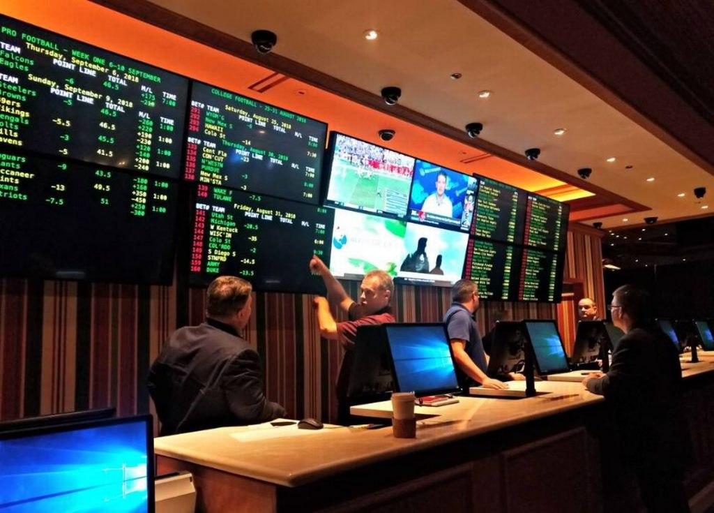 Is It Profitable to Bet on Only One Sport?