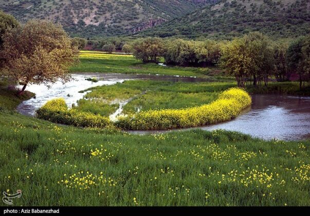 Spring in Hanam, Lorestan 6
