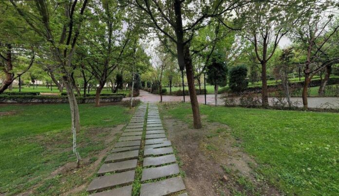 Trees Named after Blood Donors in Iran’s Mashhad