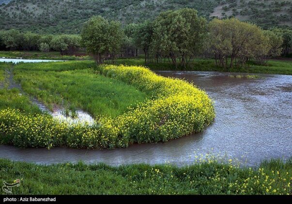 Wonderful Nature of southwestern Iran 5