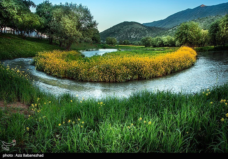 Spring in Hanam, Lorestan 16