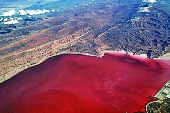 Pink Wetland of Chabahar