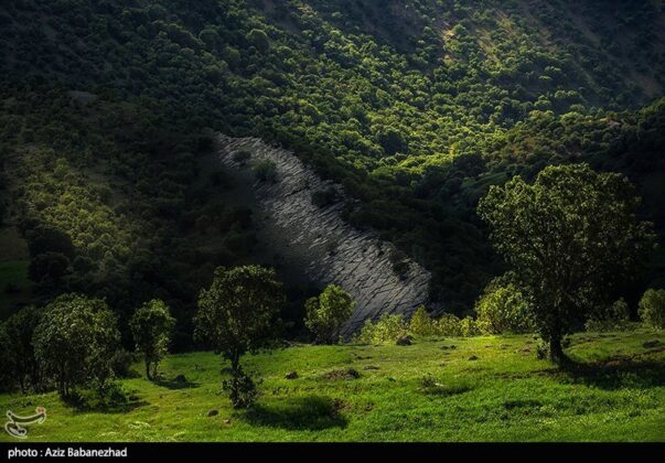 Iran's Nature in Photos: Mehrabkooh Mountain