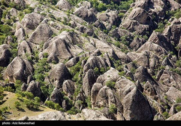 Iran Nature