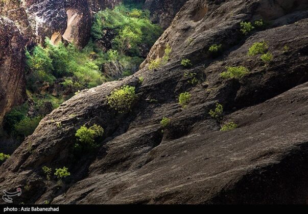 Iran Nature
