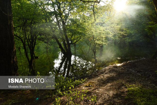 Nature of Northern Iran in Spring 4