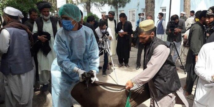 Border Incident Killing Afghan Migrants Took Place Inside Afghanistan: Iran